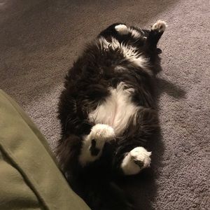 Meet your Posher, Karen